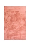 Bulut Pembe Yüksek Havlı Peluş Halı-Ultra Yumuşak Lüks Doku-Kaymaz Taban-Seçkin Konfor-Yıkanabilir