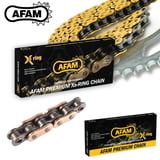 AFAM A520-116XMR3 2019-2025 TVS Apache RTR 200 Uyumlu Zincir XMR3 Xring Çelik Renk