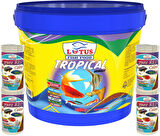 Lotus Tropikal Mix 3Kg Kova, 4x100ml Pure Red Colour Cips Lepistes Melek Moli Canlı Doğuran Akvaryum Balık Yemi