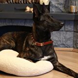 Ares Handmade Deri Köpek Tasması Siyah M  (36-45CM) Cl-Ar-Bl-M