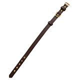 Tengri Handmade Deri Köpek Tasması Kahverengi M (36-45CM) Cl-Te-Br-M