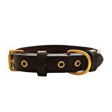 Tengri Handmade Deri Köpek Tasması Kahverengi M (36-45CM) Cl-Te-Br-M