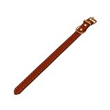 Horus Handmade Deri Köpek Tasması Siyah M  (36-45CM) Cl-Ho-Bl-M