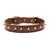 Thor Handmade Deri Köpek Tasması Açık Kahve M (36-45CM) Cl-Th-T-M