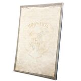 A4 Notepad Harry Potter Lisanslı Özel Tasarım 