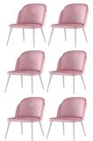 6 Adet Limon Sandalye Ahşap Beyaz Sandalye Mutfak Salon Yemek Odası Sandalyesi