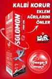 Fish Oil 200 Ml Kedi Ve Köpekler Için Balık Yağı