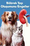 Urinary Plus D Tablet Kedi Ve Köpek (kedi Ve Köpekler Için Üriner Sağlık Destek Tableti 75 Adet)