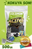 Active Carbon Kedi Kumu Koku Giderici 500 GR