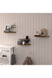 Doğal Modern Organizer Düzenleyici 3'lü Oval Dekoratif Kitaplık Banyo Mutfak Duvar Rafı Meşe