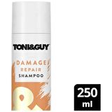 Toni&Guy Yıpranmış Saçlar İçin Canlandırıcı Kuru Şampuan 250 ml