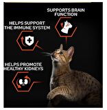 Proplan Sterilised Kısırlaştırılmış Somonlu Kedi Maması 3 Kg