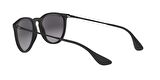RAY-BAN RB 4171 622/8G 54 ERIKA CLASSIC  Unisex Yuvarlak Güneş Gözlüğü