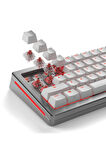 Glorious Fox Ultralight Yağlı Klavye Switch 110 Adet