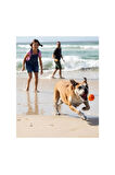 Waboba Tailwind Köpek Oyuncağı Top