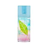 Green Tea Coconut Breeze EDT Kadın Parfüm 100ML