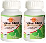 Ginkgo Biloba 120 Mg 2x200 Tablet