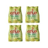 Kızılay Ekstra C Vitaminli Limon 200 ml X 24 Adet