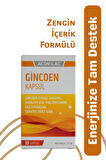 GİNCOEN 30 KAPSÜL