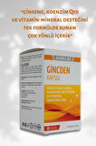 GİNCOEN 30 KAPSÜL