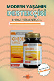GİNCOEN 30 KAPSÜL