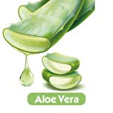 Baby Turco Softcare Aloe Vera Islak Bebek Havlusu 12x90 Yaprak
