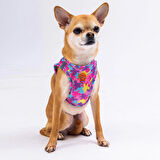 Pawstar Air-Mesh Rosea Camouflage Köpek Göğüs Tasması
