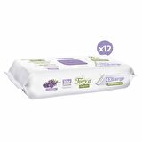 Turco Doğadan Yer Temizlik Havlusu Lavanta 12x50(600 Yaprak)