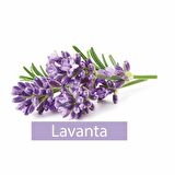 Turco Doğadan Yer Temizlik Havlusu Lavanta 12x50(600 Yaprak)