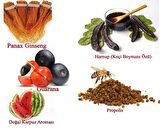 LEXTON PROPOLİS , PANAX GİNSENG VE GUARANA KATKILI KARPUZ AROMALI HARNUP ÖZÜ