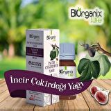 İncir Çekirdeği Yağı 20 ml