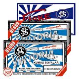 Viktoria Kumaş Boyası Blujin Mavisi 2Pk+Fiske Sabitleme 1Pk