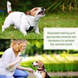 MODUS 2si 1 Şarjlı Ultrasonik Köpek Havlama Önleme