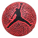 Jordan Skills 2.0 NBA Çocuk Çok Renkli Basketbol Topu J.100.6753.650.03