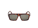 Tom Ford FT1176 53N Erkek Güneş Gözlüğü