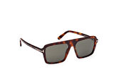 Tom Ford FT1176 53N Erkek Güneş Gözlüğü