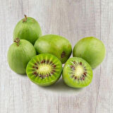 2 Yaşında Tüplü 2 Adet Kırmızı Yeşil Mini Kivi (Actinidia arguta 'Issai') Fidanı - Bahçenize Renk ve Lezzet Katın