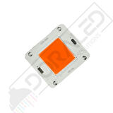 12V 50W Amber Cob Led 12 Volt 50 Watt Cob Led