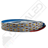 240 Ledli Sık Ledli 12V  Beyaz Şerit Led IP20 (5Metre)