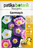 100 Adet Sarmaşık/Gündüz Safası Çiçek Tohumu