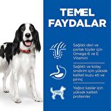 Hill's Adult Medium Lamb Rice Kuzu Etli ve Pirinçli Yetişkin Köpek Maması 14 Kg