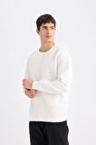 DeFacto Regular Fit Bisiklet Yaka Jakarlı Sweatshirt D5391AX24AUWT32