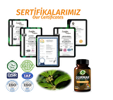 Gurmar Kapsül (GYMNEMA CAPSULE)