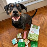 3 adet 2,5 kg yetişkin köpek maması