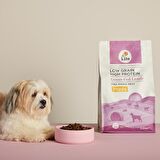 3 adet 2,5 kg yavru köpek maması
