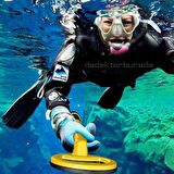 PulseDive Scuba Dedektörü - Tekli 20cm - Sarı
