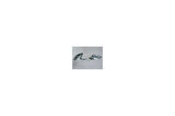 Ford Focus- Sd/Hb- 08/11; Kaput Menteşesi Sol (Tyg) (Oem No: 4M51 16801 Ab)