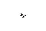 Silecek Kolu Golf4 None (Oem No: Vw-4B0953503H)