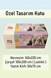 Disney Frozen Breezy Çift Taraflı Nevresim Takımı ( Yeni Sezon )