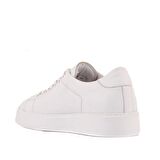 Sail Lakers - Beyaz Deri Bağcıklı Erkek Sneaker
